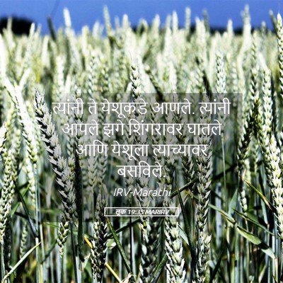 Picture 05 - लूक 19:35 MARIRV - त्यांनी ते - Bible Verse Picture