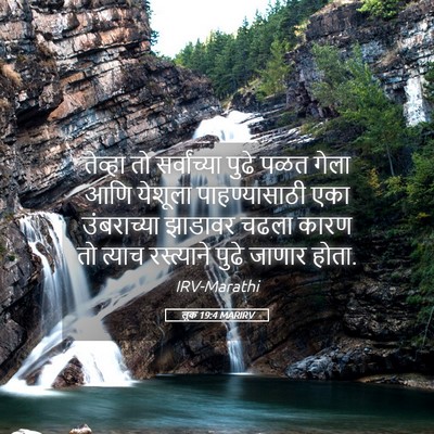 Picture 05 - लूक 19:4 MARIRV - तेव्हा तो - Bible Verse Picture
