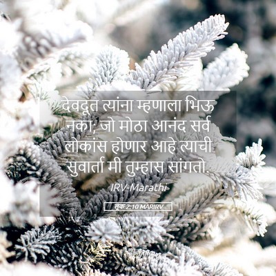 Picture 05 - लूक 2:10 MARIRV - देवदूत त्यांना - Bible Verse Picture