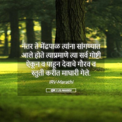 Picture 05 - लूक 2:20 MARIRV - नंतर ते मेंढपाळ - Bible Verse Picture