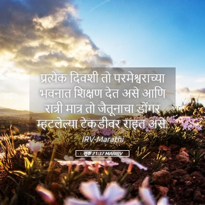 Picture 05 - लूक 21:37 MARIRV - प्रत्येक दिवशी तो - Bible Verse Picture
