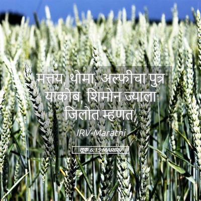 Picture 05 - लूक 6:15 MARIRV - मत्तय, थोमा, - Bible Verse Picture