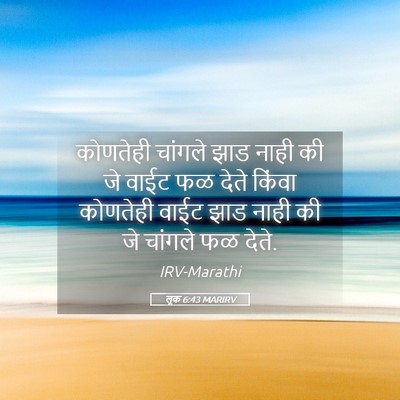 Picture 05 - लूक 6:43 MARIRV - कोणतेही चांगले - Bible Verse Picture