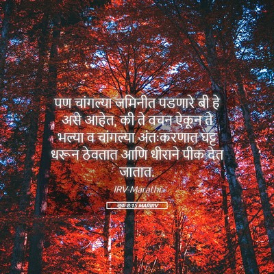 Picture 05 - लूक 8:15 MARIRV - पण चांगल्या - Bible Verse Picture