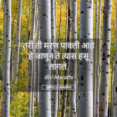 Picture 05 - लूक 8:53 MARIRV - तरी ती मरण पावली - Bible Verse Picture