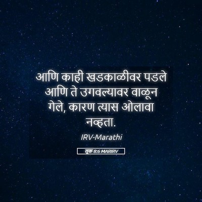 Picture 05 - लूक 8:6 MARIRV - आणि काही खडकाळीवर - Bible Verse Picture
