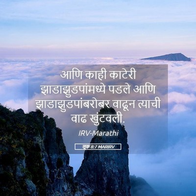 Picture 05 - लूक 8:7 MARIRV - आणि काही काटेरी - Bible Verse Picture
