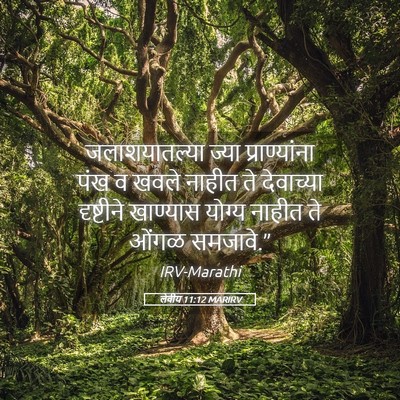 Picture 05 - लेवीय 11:12 MARIRV - जलाशयातल्या ज्या - Bible Verse Picture
