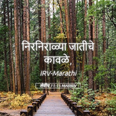 Picture 05 - लेवीय 11:15 MARIRV - निरनिराळ्या - Bible Verse Picture