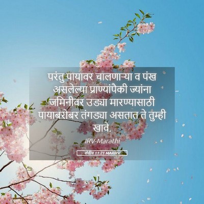 Picture 05 - लेवीय 11:21 MARIRV - परंतु पायावर - Bible Verse Picture