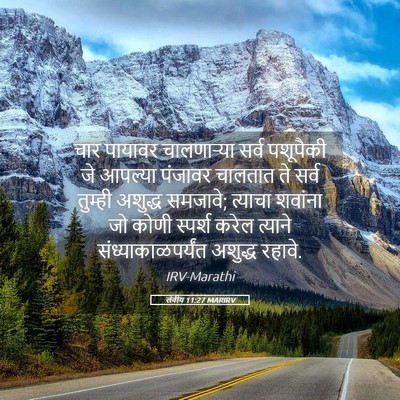 Picture 05 - लेवीय 11:27 MARIRV - चार पायावर - Bible Verse Picture