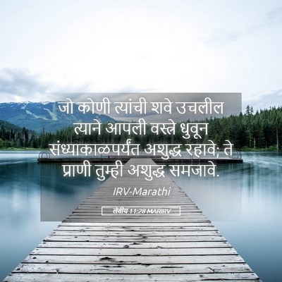 Picture 05 - लेवीय 11:28 MARIRV - जो कोणी त्यांची - Bible Verse Picture