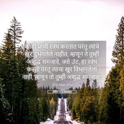 Picture 05 - लेवीय 11:4 MARIRV - काही प्राणी रवंथ - Bible Verse Picture