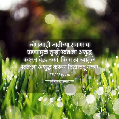 Picture 05 - लेवीय 11:43 MARIRV - कोणत्याही - Bible Verse Picture