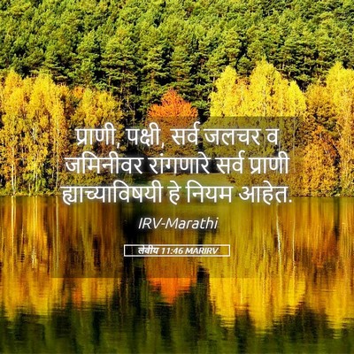 Picture 05 - लेवीय 11:46 MARIRV - प्राणी, पक्षी, सर्व - Bible Verse Picture