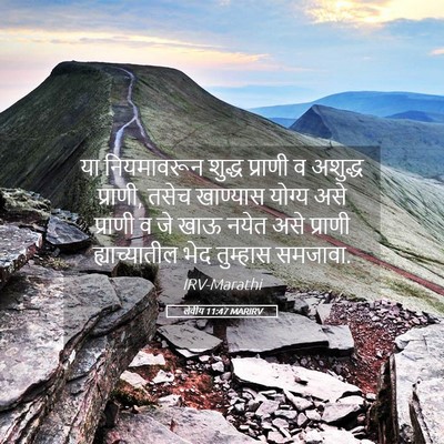 Picture 05 - लेवीय 11:47 MARIRV - या नियमावरून - Bible Verse Picture