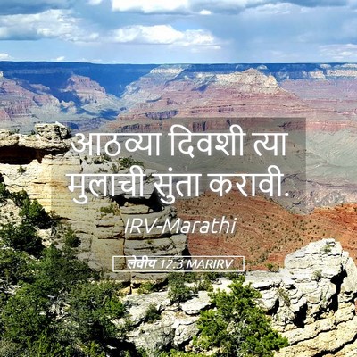 Picture 05 - लेवीय 12:3 MARIRV - आठव्या दिवशी त्या - Bible Verse Picture