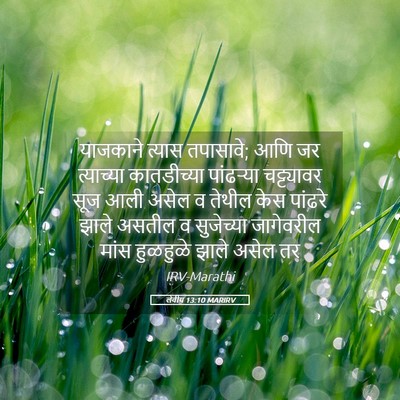 Picture 05 - लेवीय 13:10 MARIRV - याजकाने त्यास - Bible Verse Picture