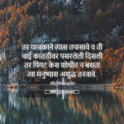 Picture 05 - लेवीय 13:36 MARIRV - तर याजकाने त्यास - Bible Verse Picture