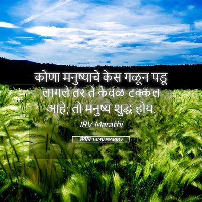 Picture 05 - लेवीय 13:40 MARIRV - कोणा मनुष्याचे - Bible Verse Picture