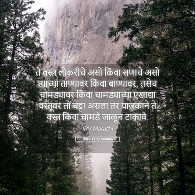 Picture 05 - लेवीय 13:52 MARIRV - ते वस्त्र लोकरीचे - Bible Verse Picture