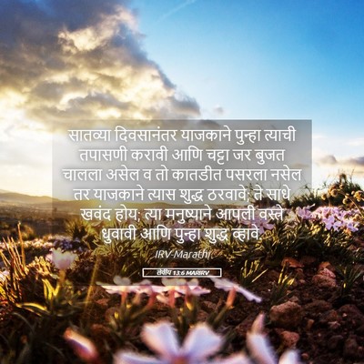 Picture 05 - लेवीय 13:6 MARIRV - सातव्या दिवसानंतर - Bible Verse Picture