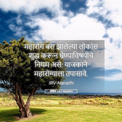 Picture 05 - लेवीय 14:2 MARIRV - महारोग बरा - Bible Verse Picture