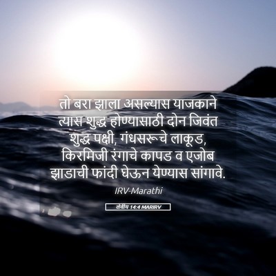 Picture 05 - लेवीय 14:4 MARIRV - तो बरा झाला - Bible Verse Picture