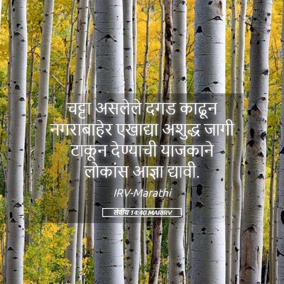 Picture 05 - लेवीय 14:40 MARIRV - चट्टा असलेले दगड - Bible Verse Picture