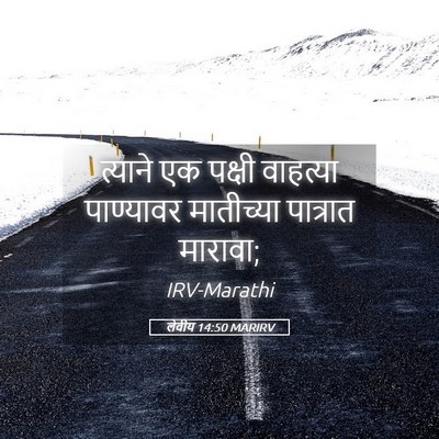 Picture 05 - लेवीय 14:50 MARIRV - त्याने एक पक्षी - Bible Verse Picture