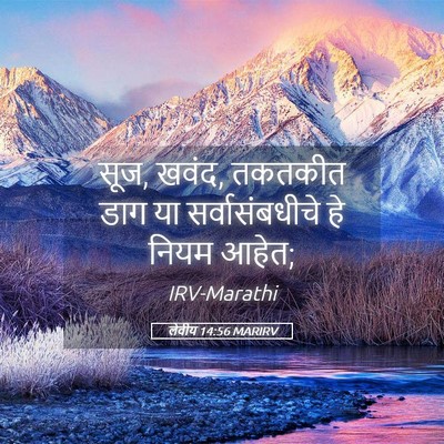 Picture 05 - लेवीय 14:56 MARIRV - सूज, खवंद, तकतकीत - Bible Verse Picture
