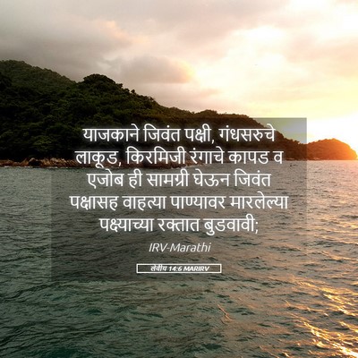 Picture 05 - लेवीय 14:6 MARIRV - याजकाने जिवंत - Bible Verse Picture