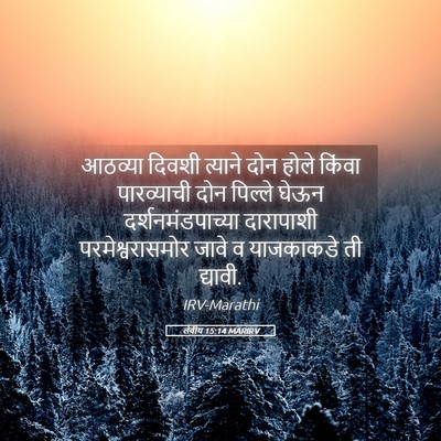 Picture 05 - लेवीय 15:14 MARIRV - आठव्या दिवशी - Bible Verse Picture