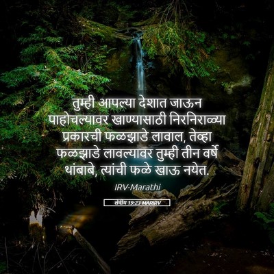 Picture 05 - लेवीय 19:23 MARIRV - तुम्ही आपल्या - Bible Verse Picture