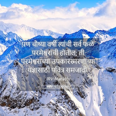Picture 05 - लेवीय 19:24 MARIRV - पण चौथ्या वर्षी - Bible Verse Picture