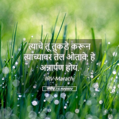 Picture 05 - लेवीय 2:6 MARIRV - त्याचे तू तुकडे - Bible Verse Picture