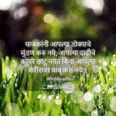 Picture 05 - लेवीय 21:5 MARIRV - याजकांनी आपल्या - Bible Verse Picture