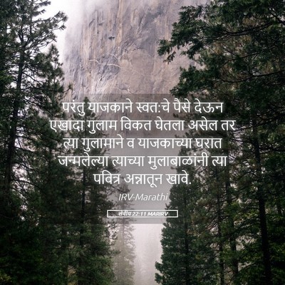 Picture 05 - लेवीय 22:11 MARIRV - परंतु याजकाने - Bible Verse Picture