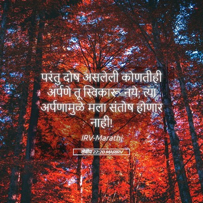 Picture 05 - लेवीय 22:20 MARIRV - परंतु दोष असलेली - Bible Verse Picture