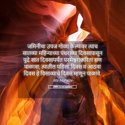 Picture 05 - लेवीय 23:39 MARIRV - जमिनीचा उपज गोळा - Bible Verse Picture