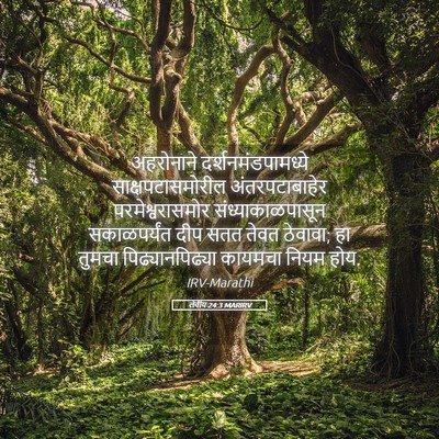 Picture 05 - लेवीय 24:3 MARIRV - अहरोनाने - Bible Verse Picture
