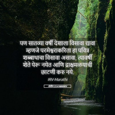 Picture 05 - लेवीय 25:4 MARIRV - पण सातव्या वर्षी - Bible Verse Picture