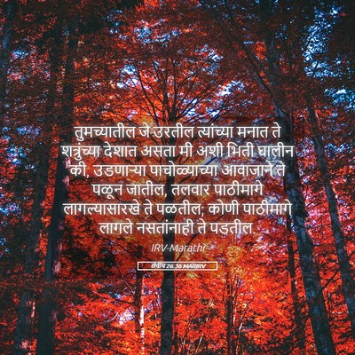 Picture 05 - लेवीय 26:36 MARIRV - तुमच्यातील जे - Bible Verse Picture