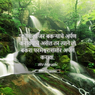 Picture 05 - लेवीय 3:12 MARIRV - “कोणाला जर - Bible Verse Picture