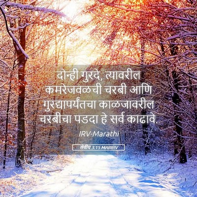Picture 05 - लेवीय 3:15 MARIRV - दोन्ही गुरदे, - Bible Verse Picture