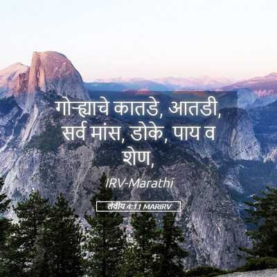Picture 05 - लेवीय 4:11 MARIRV - गोऱ्ह्याचे कातडे, - Bible Verse Picture