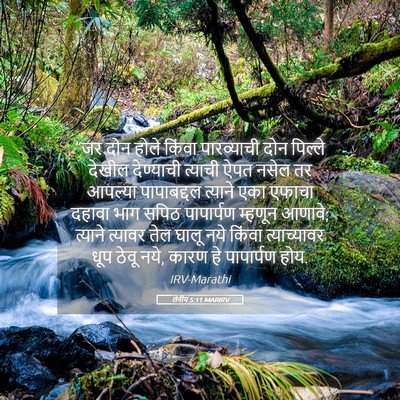 Picture 05 - लेवीय 5:11 MARIRV - “जर दोन होले किंवा - Bible Verse Picture