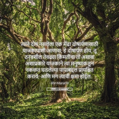 Picture 05 - लेवीय 5:18 MARIRV - त्याने दोष नसलेला - Bible Verse Picture
