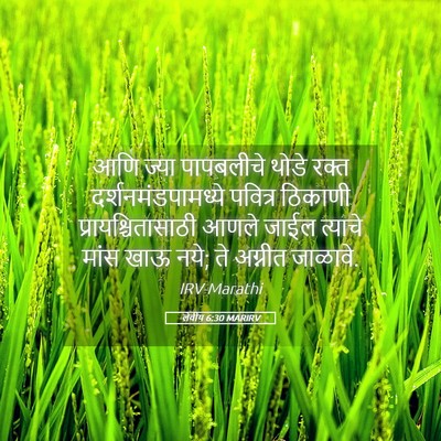 Picture 05 - लेवीय 6:30 MARIRV - आणि ज्या पापबलीचे - Bible Verse Picture