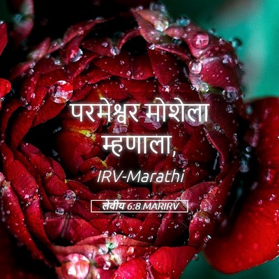 Picture 05 - लेवीय 6:8 MARIRV - परमेश्वर मोशेला - Bible Verse Picture